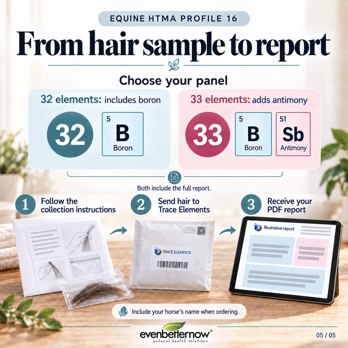 Equine HTMA by Trace Elements - Hair Mineral Analysis for Horses (Profile 16)
