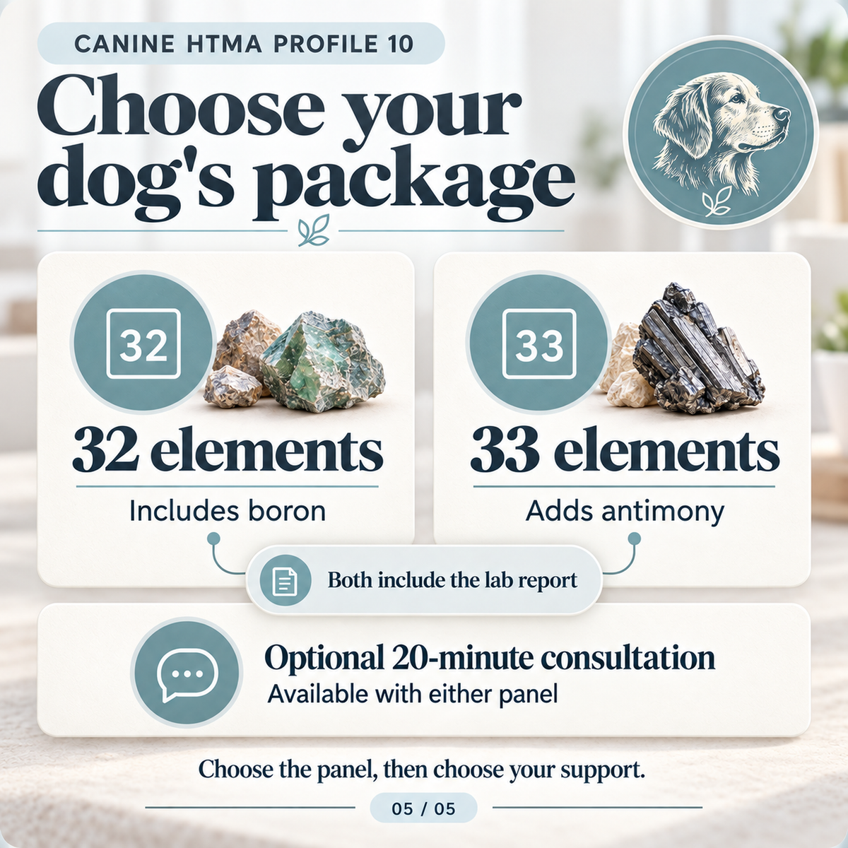 Canine HTMA by Trace Elements – Hair Mineral Analysis for Dogs (Profile 10)