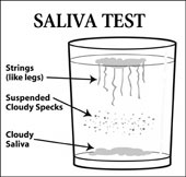 saliva test for candida yeast overgrowth