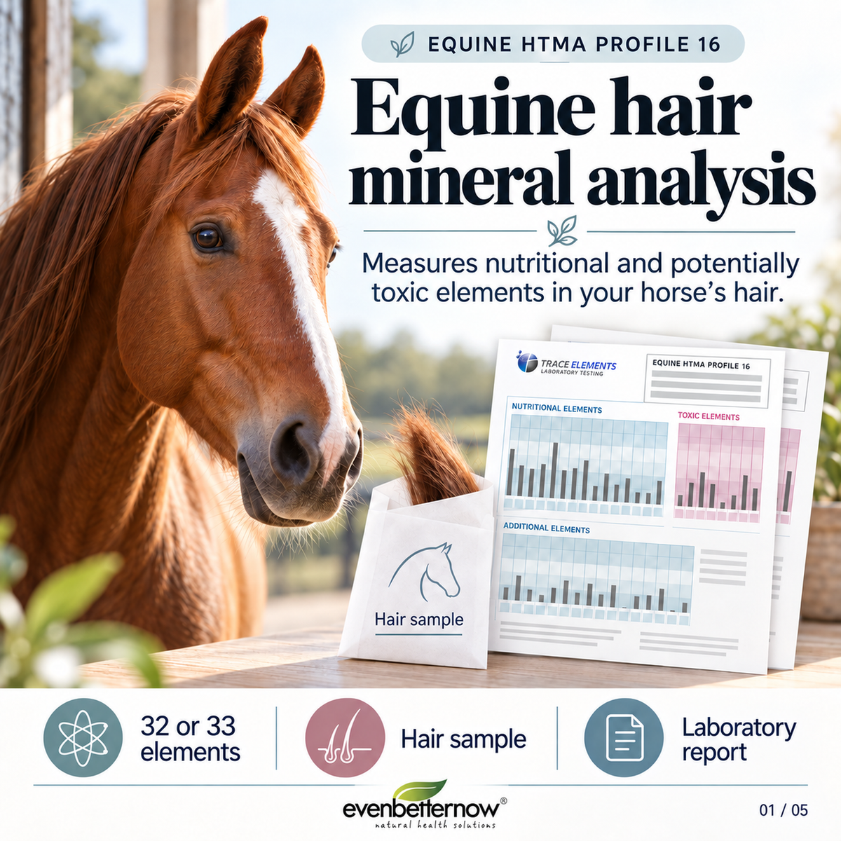 Equine HTMA by Trace Elements - Hair Mineral Analysis for Horses (Profile 16)