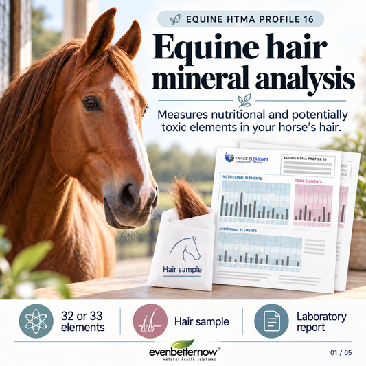 Equine HTMA by Trace Elements - Hair Mineral Analysis for Horses (Profile 16)