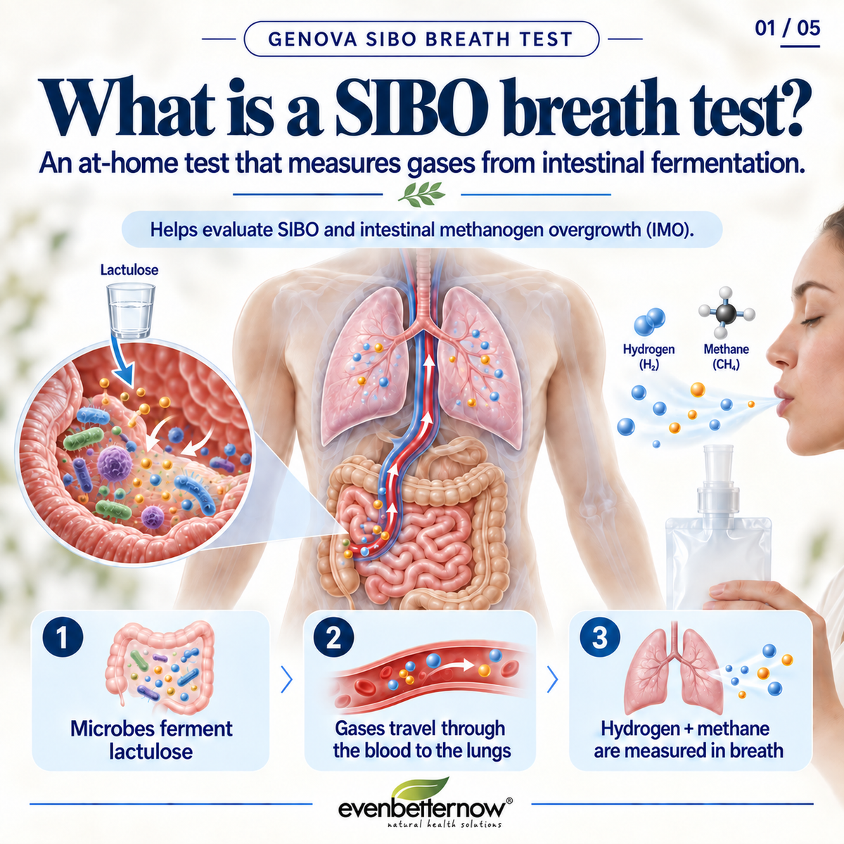 SIBO Breath Test (2-Hour & 3-Hour) | SIBO Assessment | by Genova Diagnostics