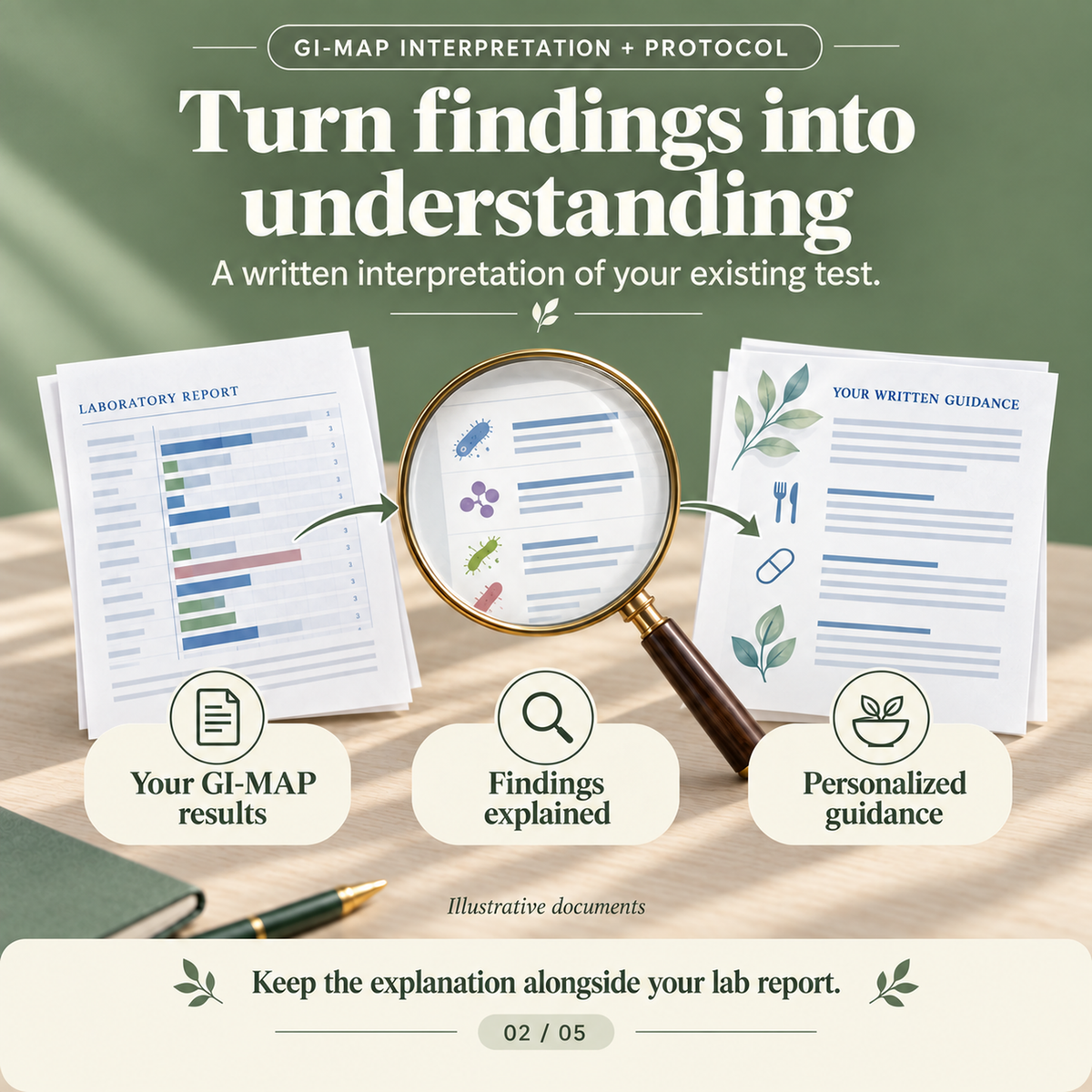 GI-MAP Interpretation & Protocol Report – 10-Page Written Analysis (No Test)