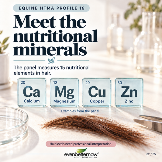 Equine HTMA by Trace Elements - Hair Mineral Analysis for Horses (Profile 16)