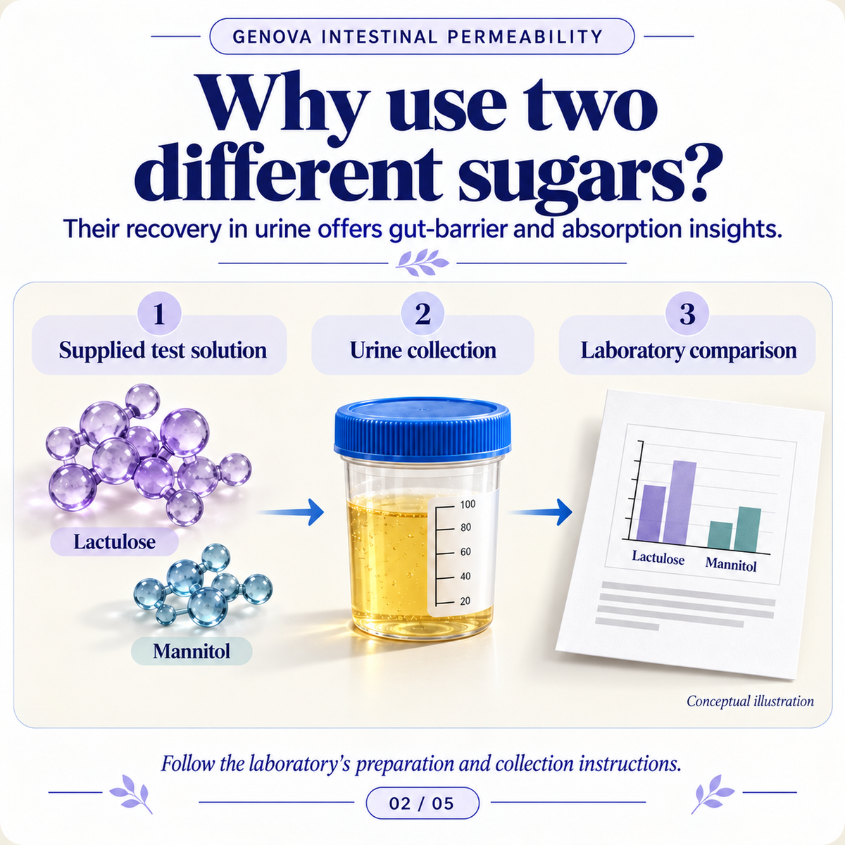 Intestinal Permeability Assessment | Leaky Gut Urine Test