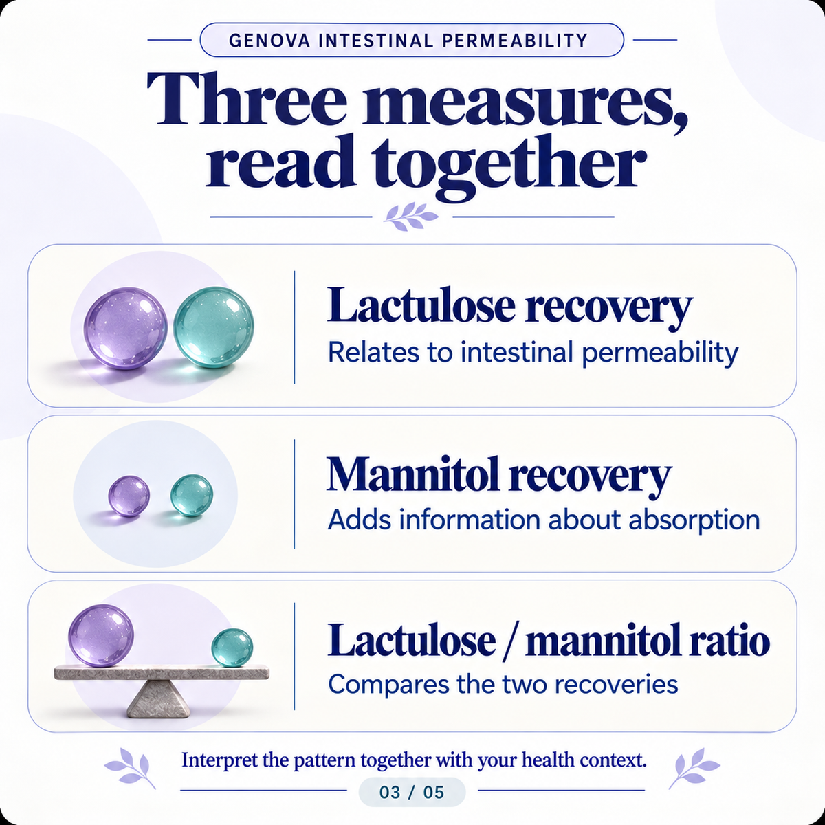 Intestinal Permeability Assessment | Leaky Gut Urine Test