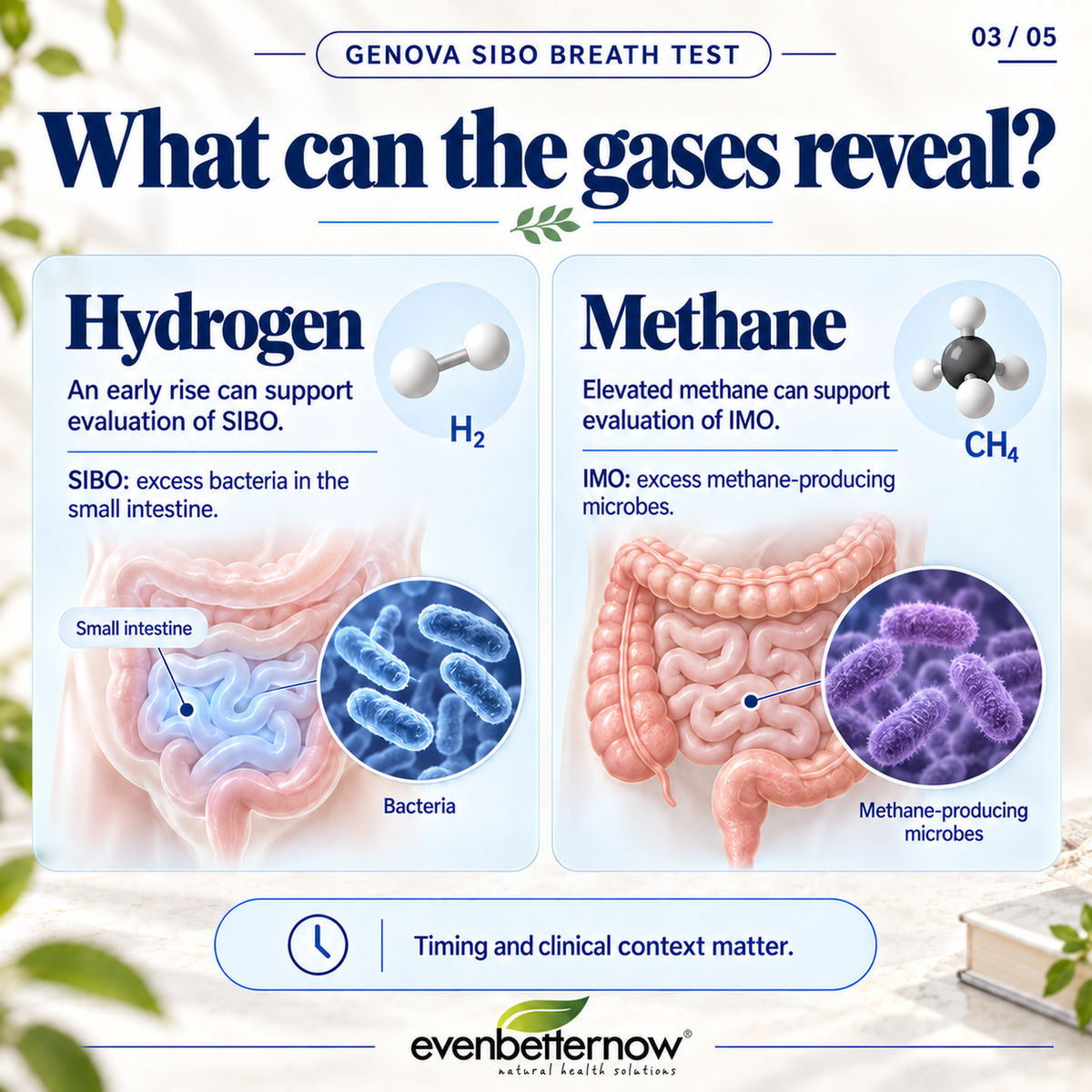 SIBO Breath Test (2-Hour & 3-Hour) | SIBO Assessment | by Genova Diagnostics