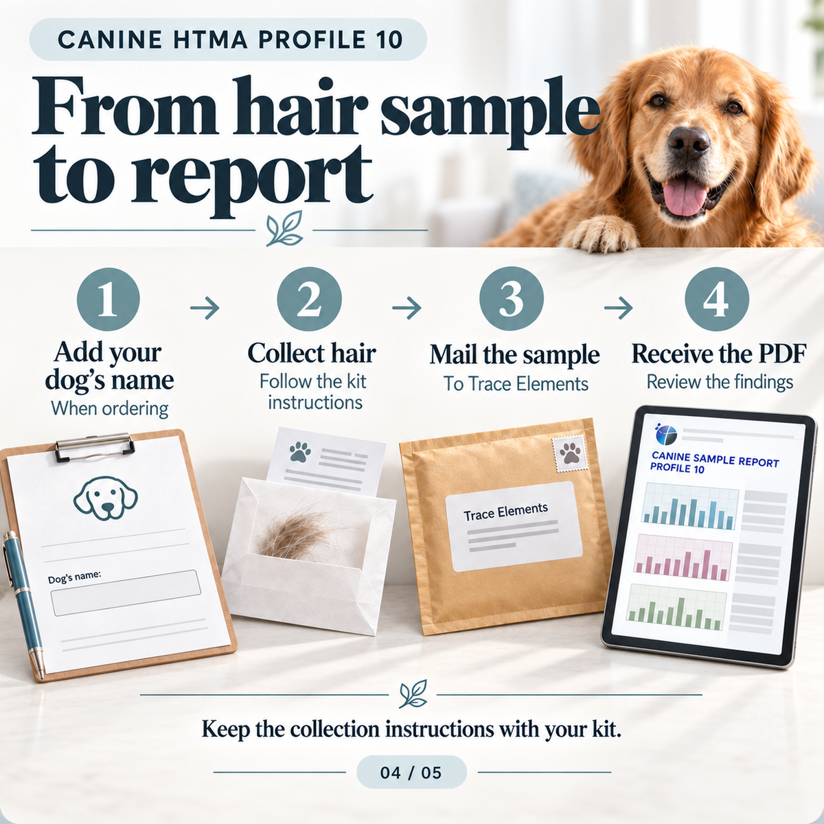 Canine HTMA by Trace Elements – Hair Mineral Analysis for Dogs (Profile 10)