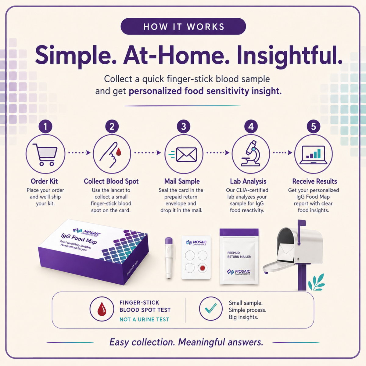 IgG Food MAP 190 Test – Food Sensitivities + Candida | Mosaic Diagnostics