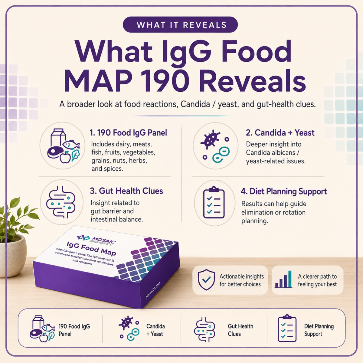 IgG Food MAP 190 Test – Food Sensitivities + Candida | Mosaic Diagnostics