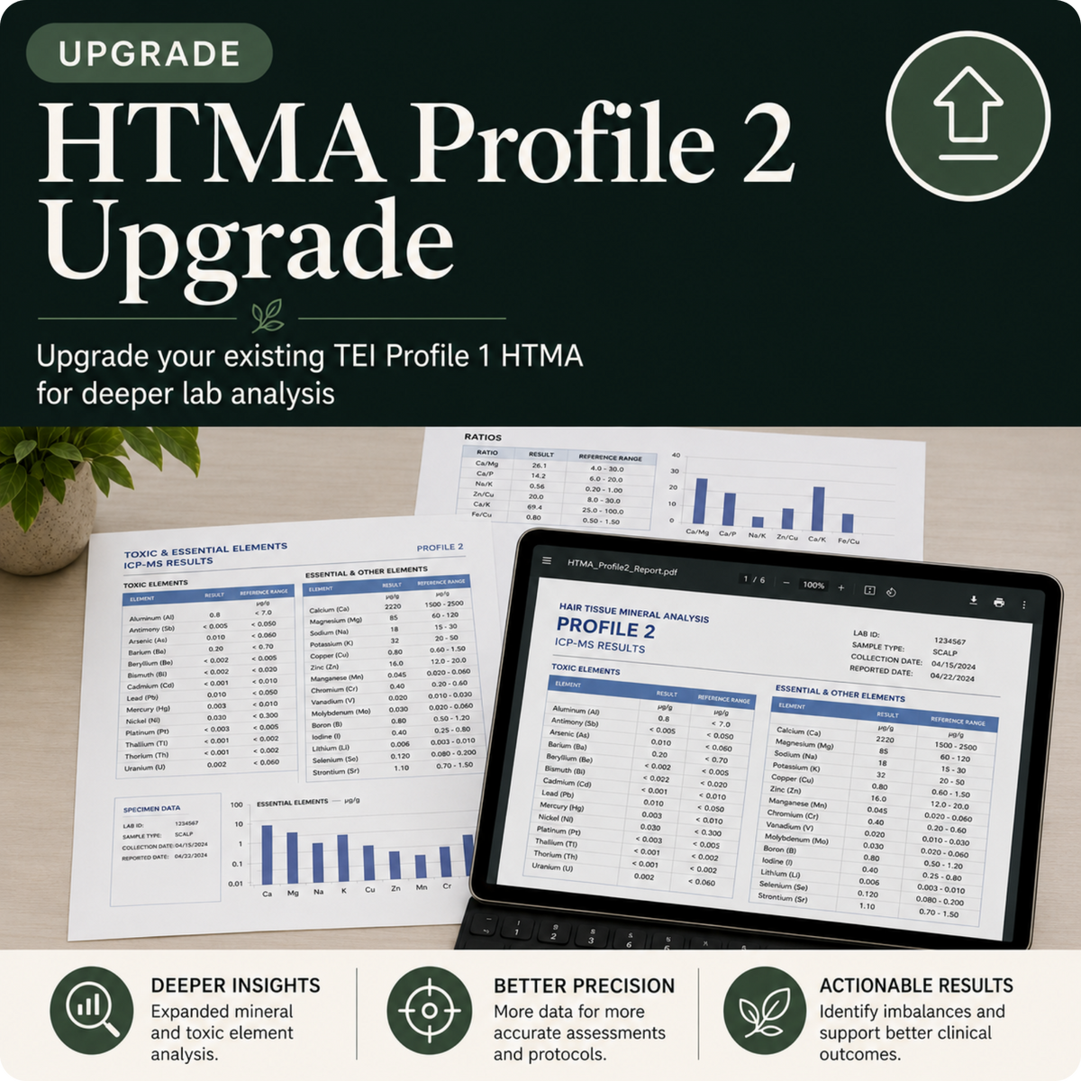 Upgrade to Profile 2 HTMA Report | Trace Elements