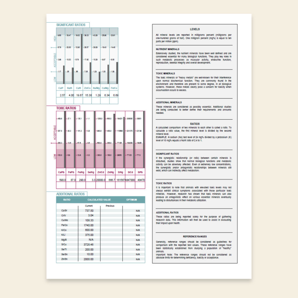 Sheet of paper with various charts and text on a beige background