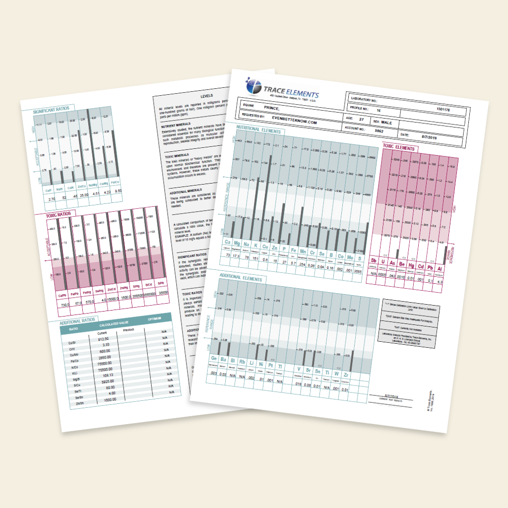 Two printed sheets with charts and text on a beige background