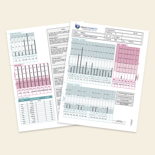 Two printed sheets with charts and text on a beige background