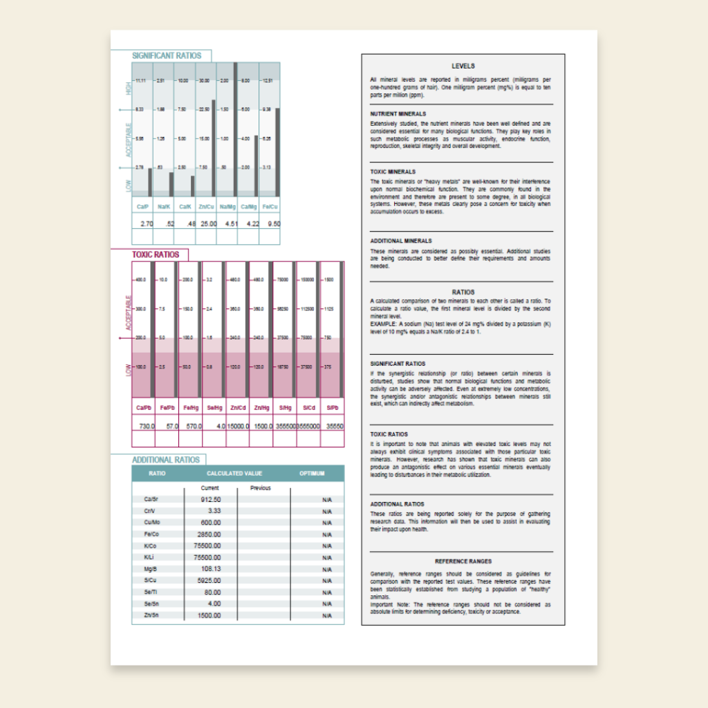 Sheet of paper with various charts and text on a beige background