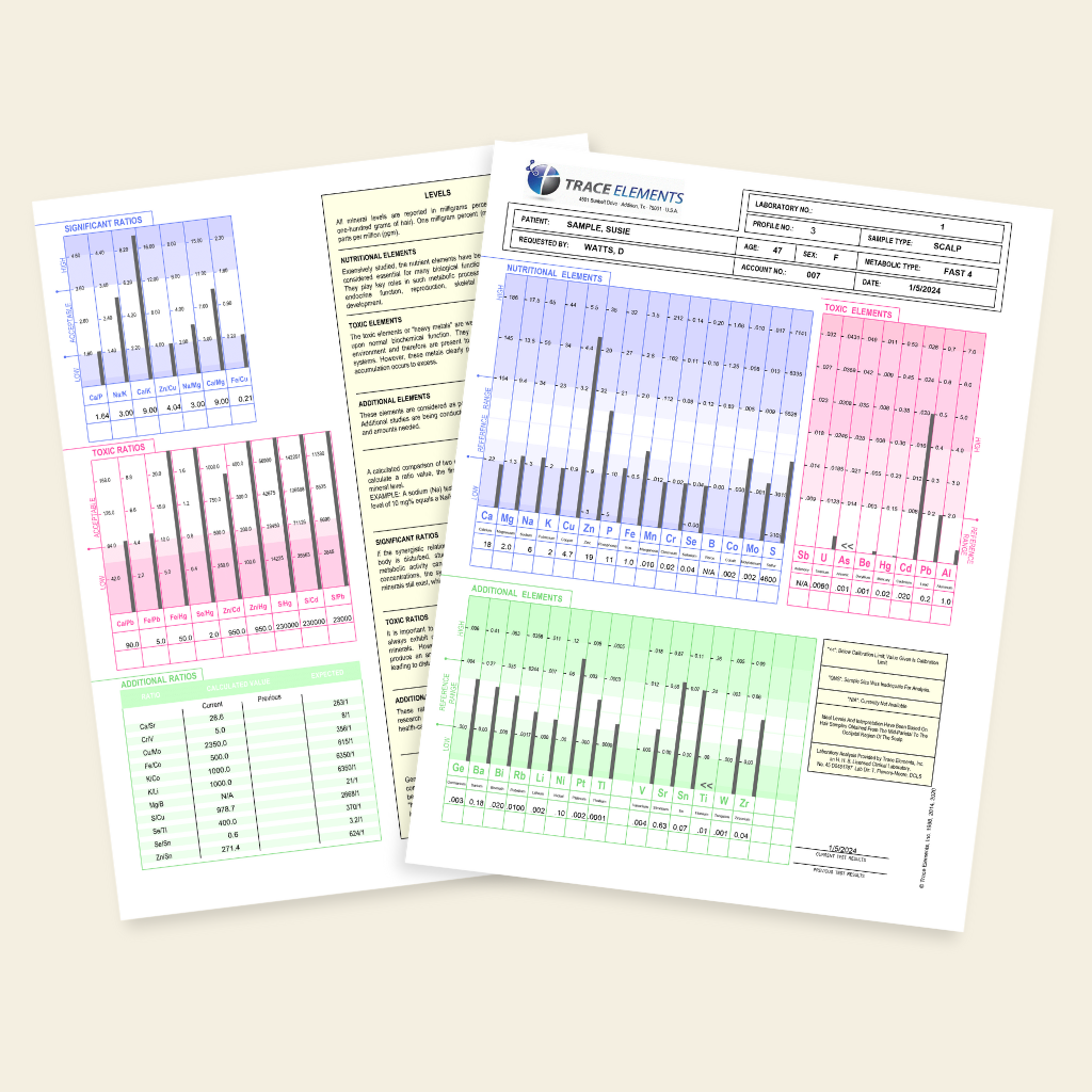 Three printed sheets with bar graphs and text on a beige background