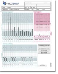 Hair Tissue Analysis (TEI Profile 16) for Equine