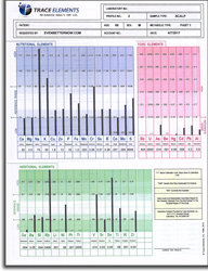 Hair Mineral Analysis (TEI Profile 3) Re-Test